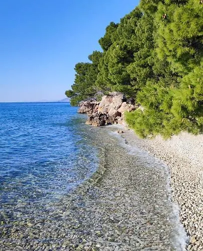 Lucky 게스트하우스 3*